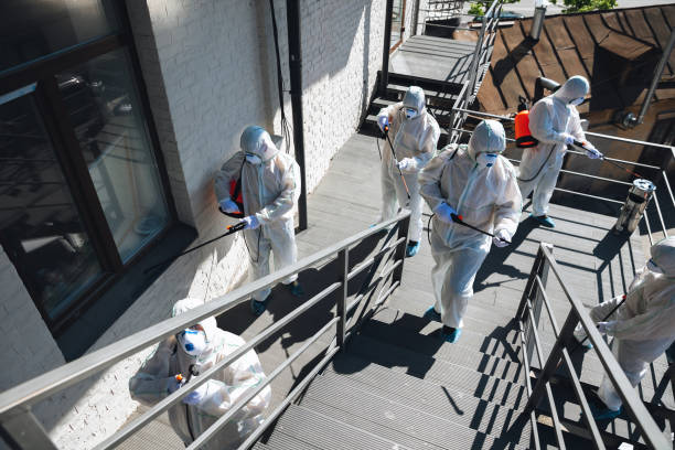Best Biohazard Mold Removal  in Metuchen, NJ