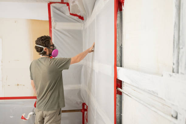  Metuchen, NJ Mold Removal Pros