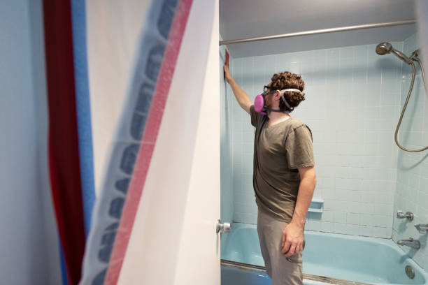 Best Basement Mold Removal  in Metuchen, NJ