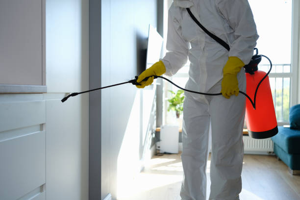 Best Post-Construction Mold Inspection  in Metuchen, NJ