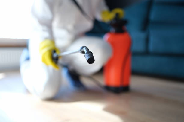 Best Air Quality Testing for Mold Spores  in Metuchen, NJ