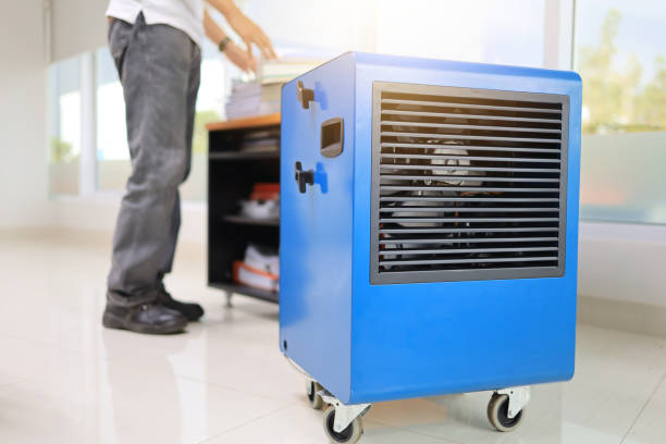 Best Attic Mold Removal  in Metuchen, NJ